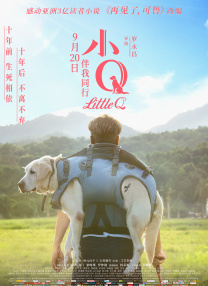 依人综合